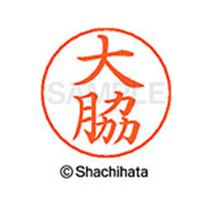 シヤチハタ ネームペン用ネーム シルバー 既製 大脇 FC46310-X-GPS-0539-イメージ1