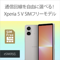 tsyr様】【電池良好】Xperia5V（XQ-DE44）※初期化済