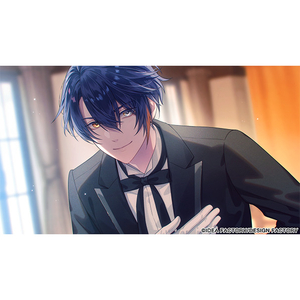 アイディアファクトリー Sullyland Nursery Rhyme 特装版【Switch】 SLNR26155-イメージ2