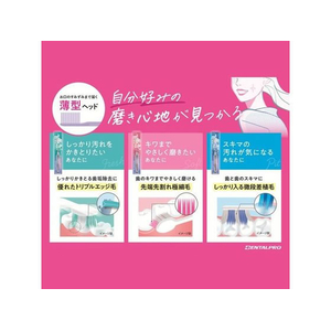 デンタルプロ スタイル ピット ふつう FCE022Y-イメージ3
