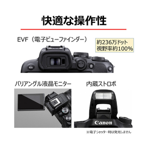 キヤノン デジタル一眼カメラ・ボディ EOS R10 EOSR10-イメージ8