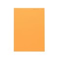紀州製紙 北越コーポレーション/ニューファインカラー A4 オレンジ 500枚*5冊 F840401