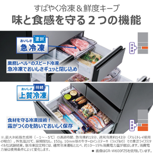 東芝 461L 6ドア冷蔵庫 VEGETA アッシュグレージュ GR-Y460FZ(ZH)-イメージ12