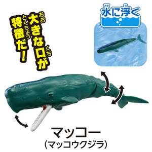 タカラトミー 冒険大陸 アニアキングダム ルッタと海の決戦セット (ドラゴン島Ver.) ｱﾆｱKDﾙﾂﾀﾄｳﾐﾉｹﾂｾﾝﾄﾞﾗｺﾞﾝﾄｳ-イメージ12