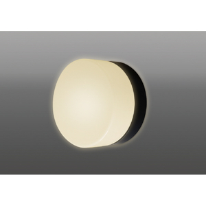 タキズミ LED屋外灯 TLG1601-イメージ1