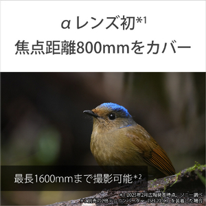 SONY デジタル一眼カメラα[Eマウント]用レンズ Gレンズ FE 400-800mm F6.3-8 G OSS SEL400800G-イメージ3