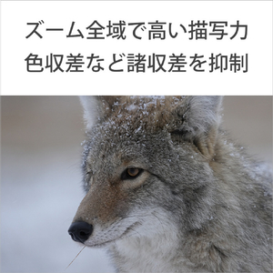 SONY デジタル一眼カメラα[Eマウント]用レンズ Gレンズ FE 400-800mm F6.3-8 G OSS SEL400800G-イメージ5