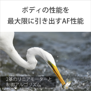 SONY デジタル一眼カメラα[Eマウント]用レンズ Gレンズ FE 400-800mm F6.3-8 G OSS SEL400800G-イメージ6