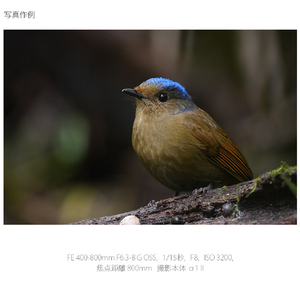 SONY デジタル一眼カメラα[Eマウント]用レンズ Gレンズ FE 400-800mm F6.3-8 G OSS SEL400800G-イメージ8