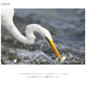 SONY デジタル一眼カメラα[Eマウント]用レンズ Gレンズ FE 400-800mm F6.3-8 G OSS SEL400800G-イメージ9