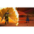 バンダイナムコエンターテインメント ドラゴンボール Sparking! ZERO【Switch 2】 POTPAAGYA-イメージ6