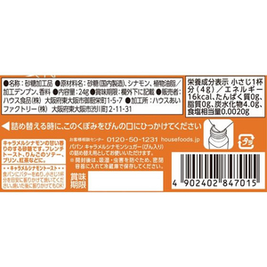 ハウス食品 パパン キャラメルシナモンシュガー 詰め替え用 24g F886875-イメージ2