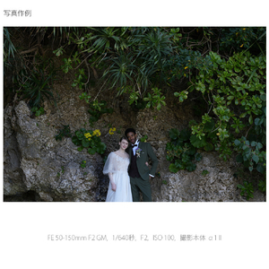 SONY デジタル一眼カメラα[Eマウント]用レンズ FE 50-150mm F2 GM SEL50150GM-イメージ6