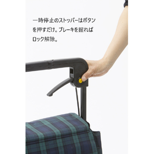 ウィズワン キヤリーライトSNペイズリーBL ｷﾔﾘ-ﾗｲﾄSNﾍﾟｲｽﾞﾘ-BL-イメージ5