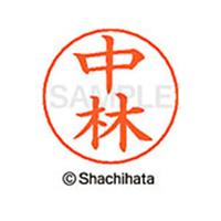 シヤチハタ ネームペン用ネーム シルバー 既製 中林 FC47304-X-GPS-1533