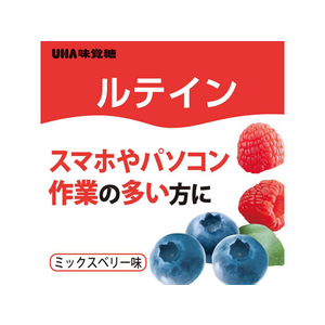 UHA味覚糖 UHAグミサプリ ルテイン 20日分 40粒 F047769-イメージ2