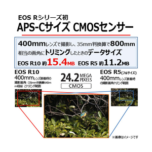 キヤノン デジタル一眼カメラ・RF-S18-45 IS STM レンズキット EOS R10 EOSR101845ISSTMLK-イメージ3