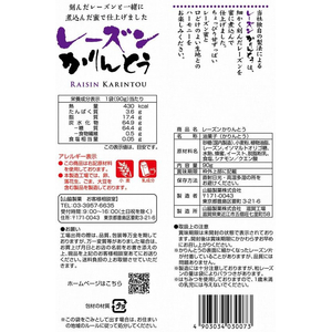 山脇製菓 レーズンかりんとう 90g FC855TA-イメージ2