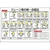 日本緑十字社 緑十字/クレーン標識 クレーン等の統一合図法  エンビ FC835GV-8148848-イメージ1