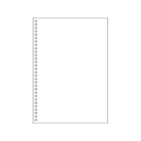 ヒサゴ マルチプリンタ帳票 A4 白紙 30穴 1200枚 FCD586P-FSC2049Z