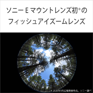 SONY Eマウント用レンズSEL814G SEL814G-イメージ3
