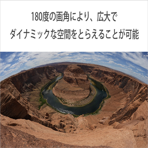 SONY Eマウント用レンズSEL814G SEL814G-イメージ4