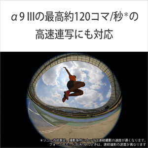 SONY Eマウント用レンズSEL814G SEL814G-イメージ6
