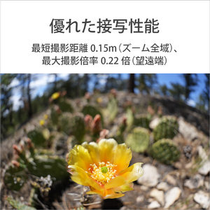 SONY Eマウント用レンズSEL814G SEL814G-イメージ7