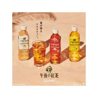 キリンビバレッジ FCA6831 午後の紅茶 ストレートティー 500ml