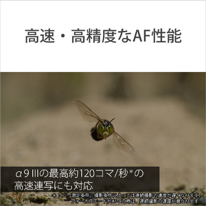 SONY Eマウント用レンズ デジタル一眼カメラα[Eマウント]用レンズ GMレンズ SEL100M28GM-イメージ10