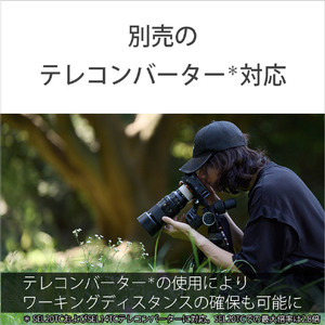 SONY Eマウント用レンズ デジタル一眼カメラα[Eマウント]用レンズ GMレンズ SEL100M28GM-イメージ11