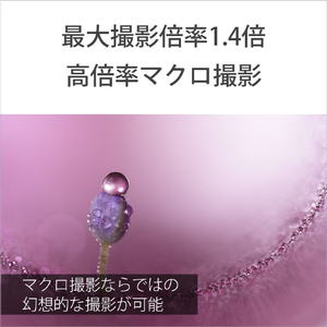 SONY Eマウント用レンズ デジタル一眼カメラα[Eマウント]用レンズ GMレンズ SEL100M28GM-イメージ5