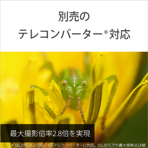 SONY Eマウント用レンズ デジタル一眼カメラα[Eマウント]用レンズ GMレンズ SEL100M28GM-イメージ6