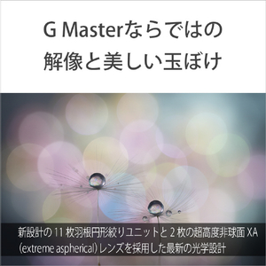 SONY Eマウント用レンズ デジタル一眼カメラα[Eマウント]用レンズ GMレンズ SEL100M28GM-イメージ7