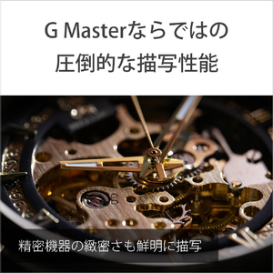 SONY Eマウント用レンズ デジタル一眼カメラα[Eマウント]用レンズ GMレンズ SEL100M28GM-イメージ8