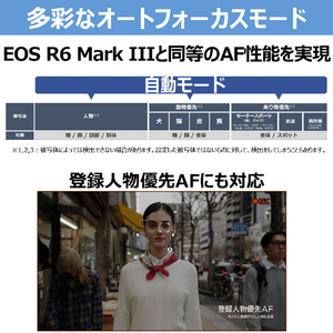 キヤノン ミラーレス一眼カメラ・ボディ EOSR6V ブラック EOSR6V-イメージ11