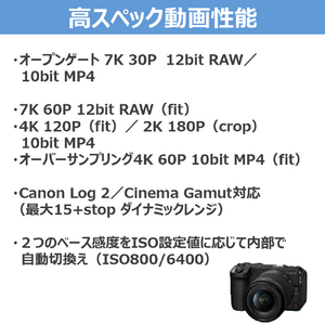 キヤノン ミラーレス一眼カメラ・ボディ EOSR6V ブラック EOSR6V-イメージ8
