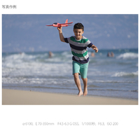 SONY SEL70350G 超望遠ズームレンズ E 70-350mm F4.5-6.3 G OSS