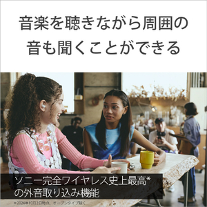 SONY ワイヤレスノイズキャンセリングステレオヘッドセット LinkBuds Fit ピンク WF-LS910N P-イメージ5