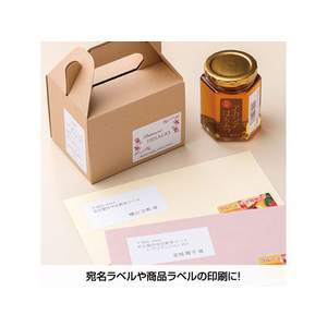 ヒサゴ エコノミーラベル A4 44面 30枚 F044837-ELM022S-イメージ5