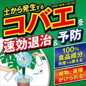 フマキラー 植物まわりのコバエカダン 300mL FCJ031J-イメージ2