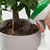 フマキラー 植物まわりのコバエカダン 300mL FCJ031J-イメージ3
