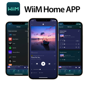 WiiM ネットワークストリーマー WiiM Pro WIIMPRO-イメージ12