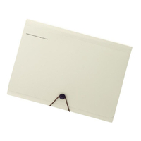 リヒトラブ SMART FIT キャリングドキュメント A4 ベージュ FC32880-A7589-16