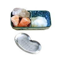 ツボエ 岩塩おろし金 ステンレス SG-055 FCL4835-004649001