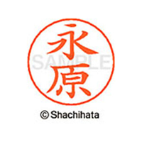 シヤチハタ ネームペン用ネーム シルバー 既製 永原 FC47314-X-GPS-1543