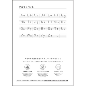 キョクトウ スクールラインプラス 英習罫10段 セミB5 30枚 FC649TG-LSP10F-イメージ3