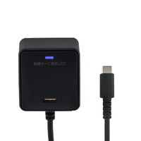 エルパ 耐雷サージ付きUSB充電器 PD2m Type-C ブラック CHCR-SPC20BK