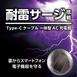 エルパ 耐雷サージ付きUSB充電器 PD2m Type-C ブラック CHCR-SPC20BK-イメージ7