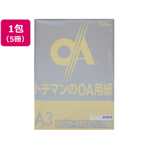 SAKAEテクニカルペーパー 極厚口カラーPPC A3 イエロー 50枚×5冊 F872854-LPP-A3-Y-イメージ1